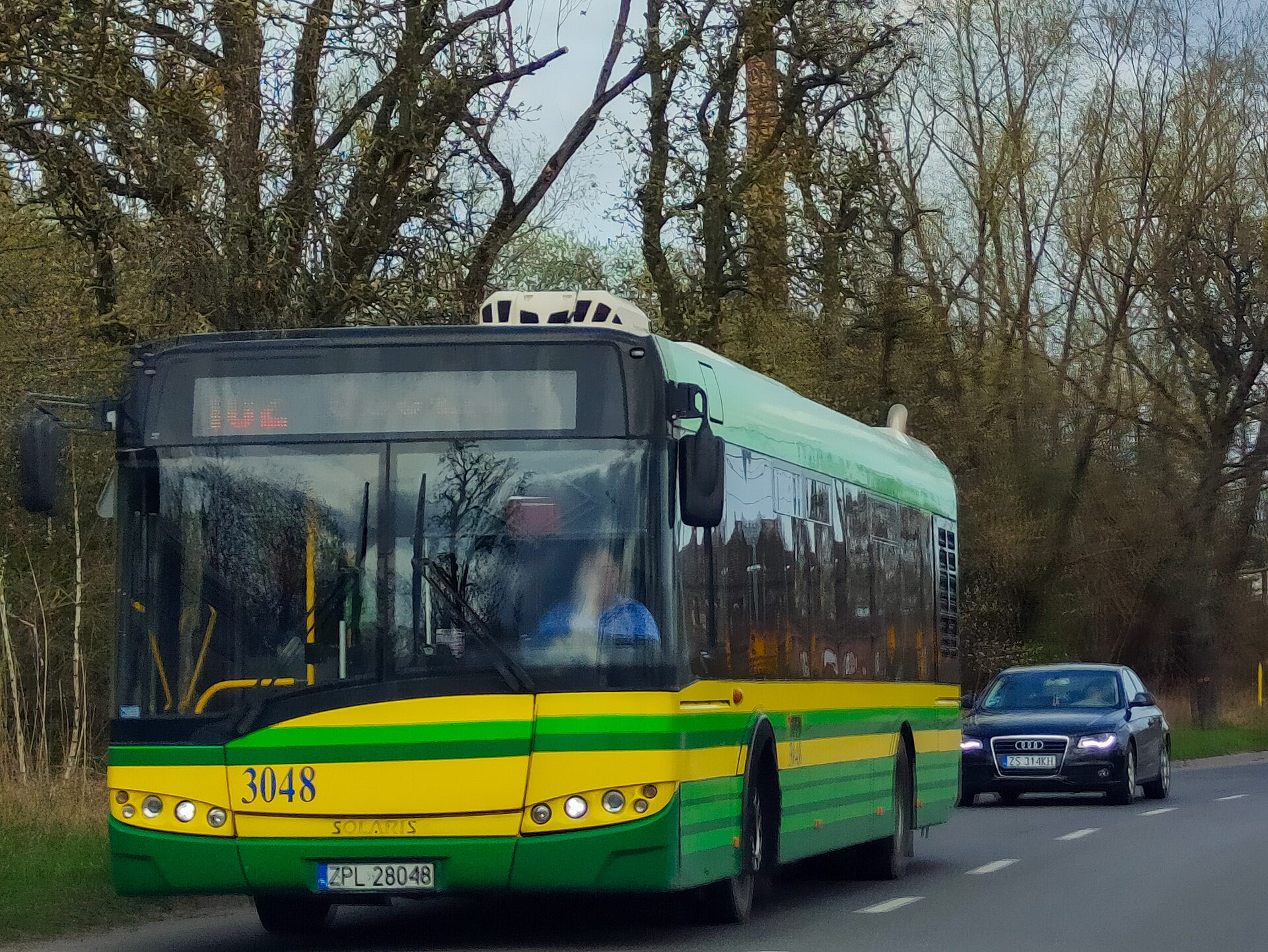 A Solaris Urbino 12 low-floor city bus in Poland, its body sitting low over the road with a step-free doorway.