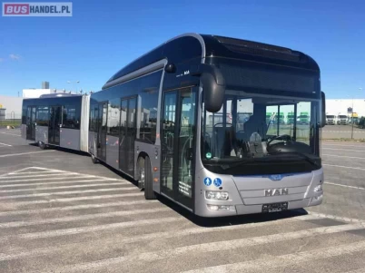 Modelo Real na Vida Real - Articulated