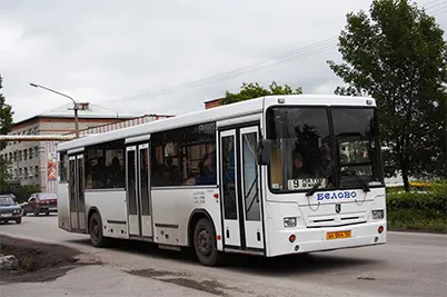 Modelo Real na Vida Real - SingleDecker