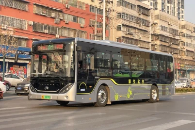 Modelo Real na Vida Real - Electric
