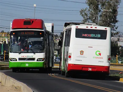 Modelo Real na Vida Real - Articulated