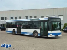 Modelo Real na Vida Real - SingleDecker