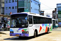 Modelo Real na Vida Real - MiniBus