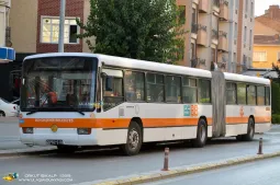 Modelo Real na Vida Real - Articulated