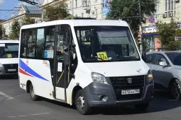 Modelo Real na Vida Real - Minibus