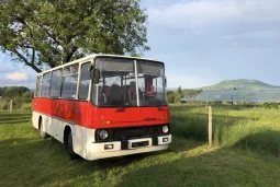 Ikarus 211